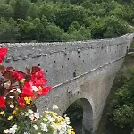 Grivola *
